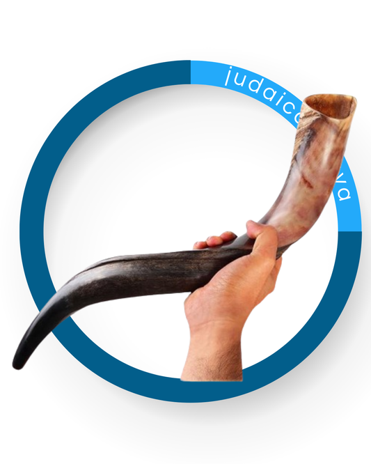 Shofar Yeminita
