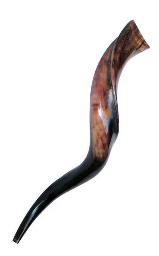 Shofar Yeminita